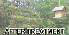 Fogged double glazing: Fogged window AFTER cleaning